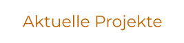 Aktuelle Projekte